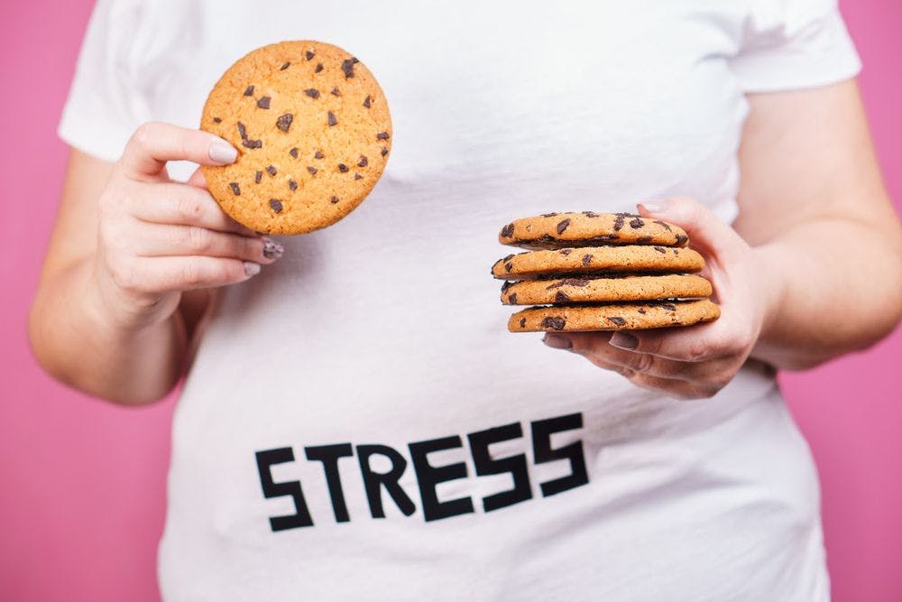 A person holding many cookies, wearing a shirt that says stress