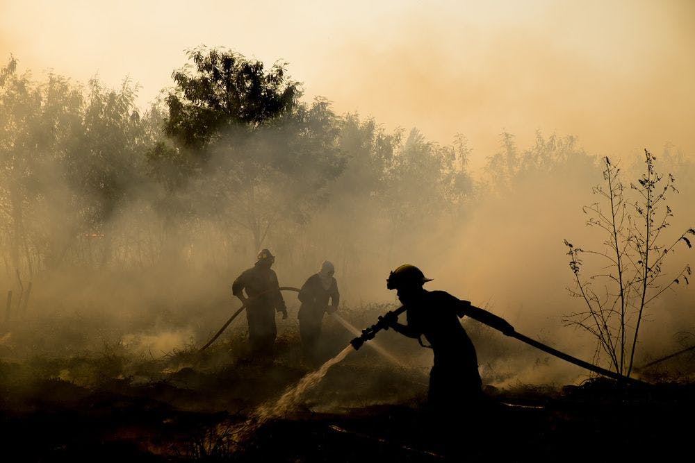 Fire fighters in a forest fire, smoke, natural disaster