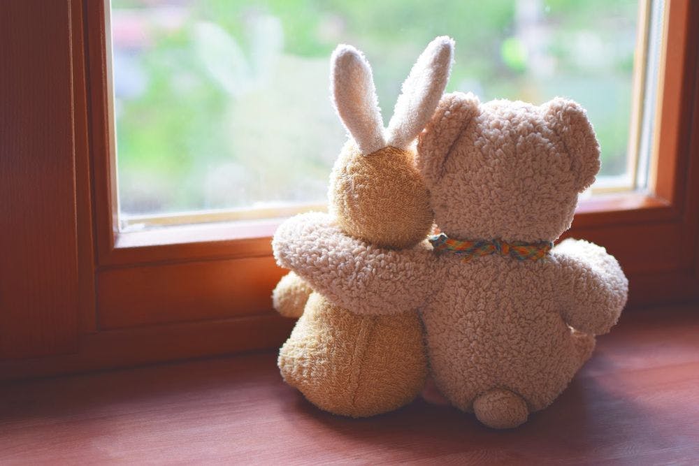 A stuffed bunny and bear with their arms around each other