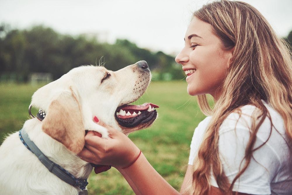 The Mental Health Benefits of Pets