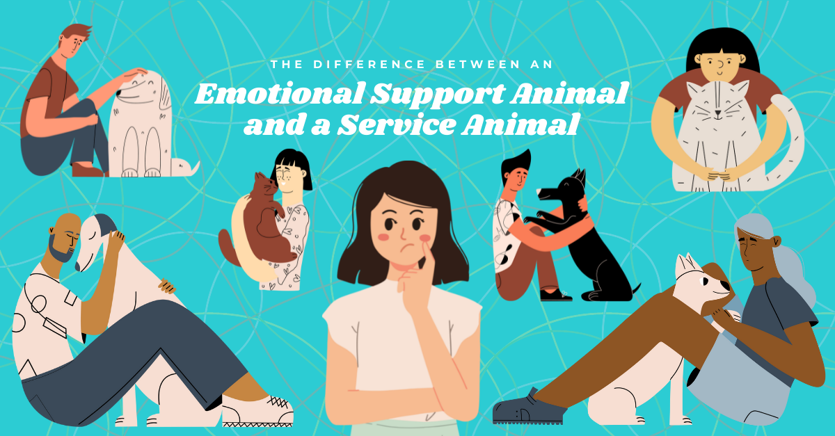 The Differences Between an Emotional Support Animal and a Service Animal