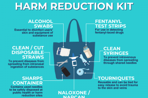Harm Reduction Kit Infographic
